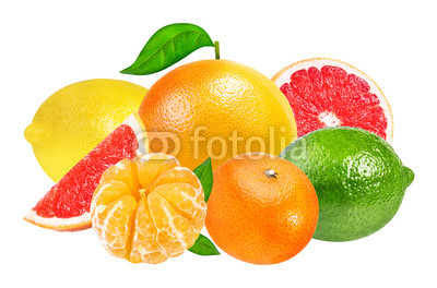 Citrus Fruit Set (tangerine, grapefruit, lime, lemon) isolated o