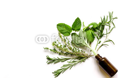 mint, sage, rosemary, thyme - aromatherapy white background