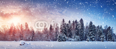 Beautiful tree in winter landscape in late evening in snowfall