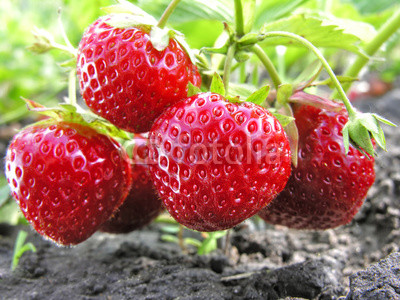 close-up of ripe strawberry
