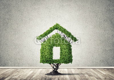 Real estate investments