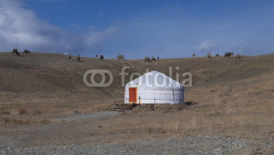A herd of camels