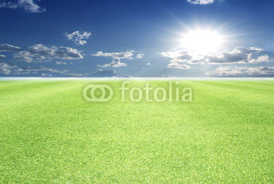 Image of green grass field and bright blue sky