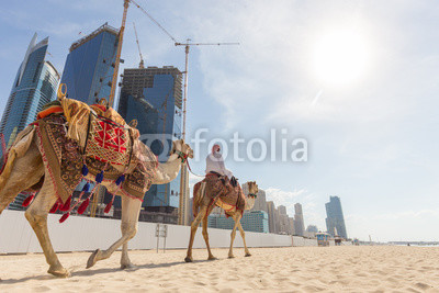 Tour guide offering tourist camel ride on Jumeirah beach on in Dubai, United Arab Emirates. Luxury Dubai Marina skyscrapers in background.