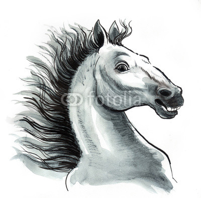 White horse