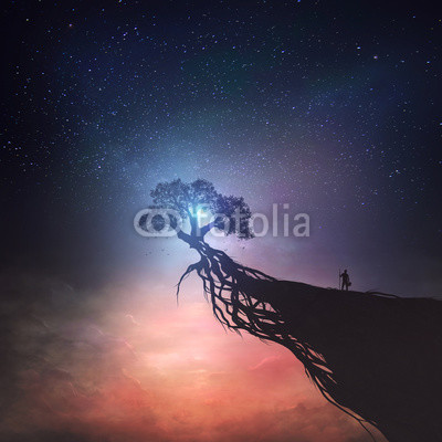 Tree and night sky