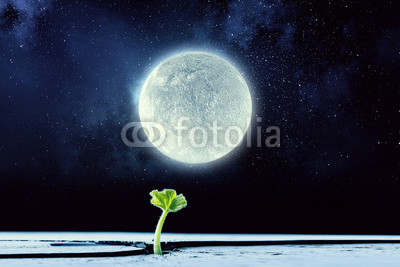 Is there life on moon . Mixed media