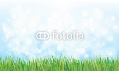 Vector  nature background, blue sky and green grass.