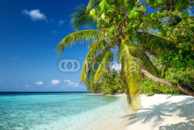 Strand auf den Malediven
