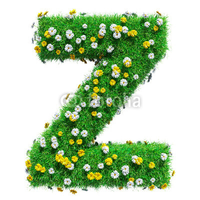 Letter Z Of Green Grass And Flowers