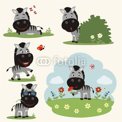 Vector set funny zebra in different poses on summer meadow with flowers. Collection little zebra in cartoon style.