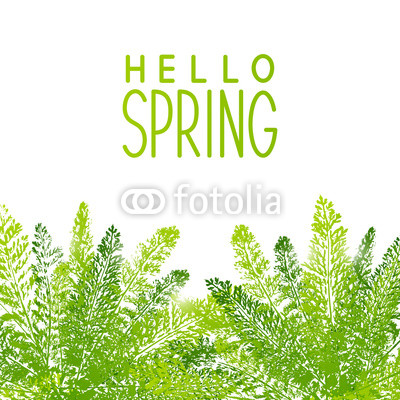 Spring background with green leaves 