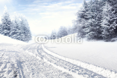 winter road and snow with frost 