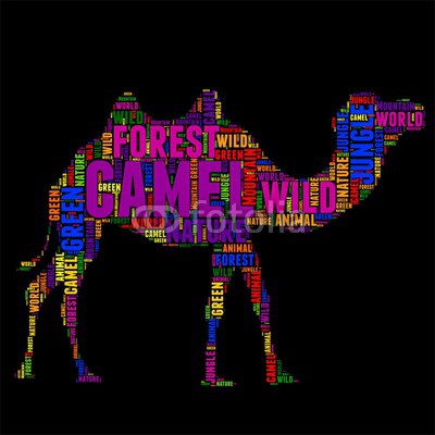 camel Typography word cloud colorful Vector illustration