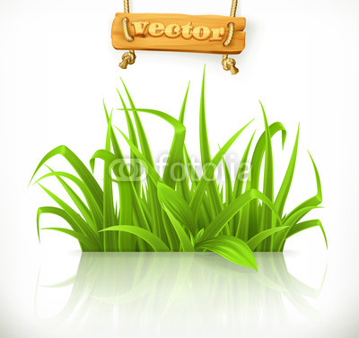 Spring grass, 3d vector icon