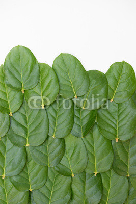 lime leaves