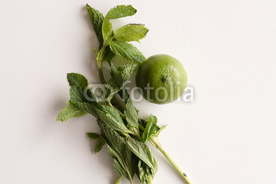 High angle view of natural looking green lime and mint on white table (selective focus)