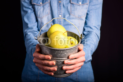 apples bucket in hands - vegetarian and vegan people