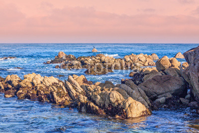 Scenic California Coast Landscape