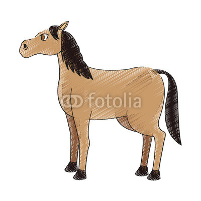 horse cartoon icon over white background. vector illustration