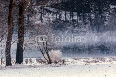 paesaggio invernale