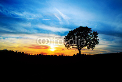 Sunrise with tree.
