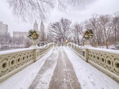 Bow bridge Central Park during snow storm