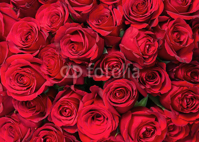 Colorful flower bouquet from red roses for use as background. Closeup.