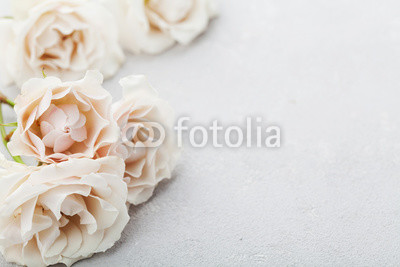 Beautiful vintage rose flowers on gray stone table. Floral border. Pastel color.