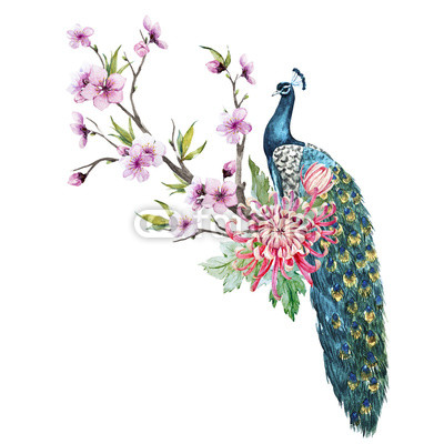 Watercolor peacock with flowers