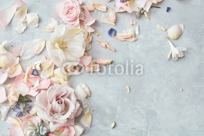 Composition of flowers on grey background