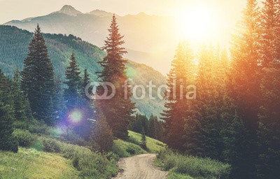Mountain Countryside Road