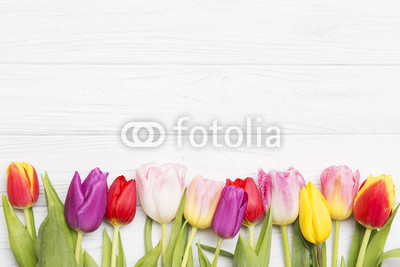 colorful tulips on white wooden background.
