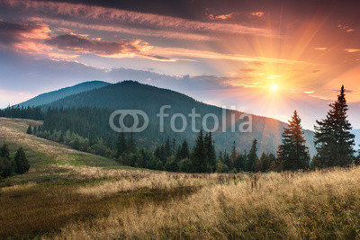 Sunrise above peaks of smoky mountain with the view of forest in the foreground. Dramatic overcast sky. 