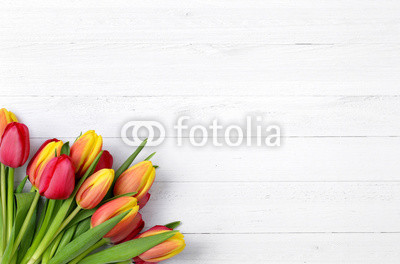 Tulpen auf weißem Holz