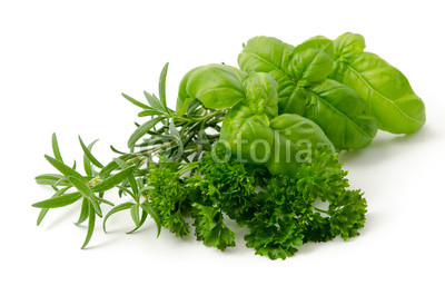 Frische Kräuter