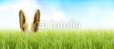 Osterhase im Gras
