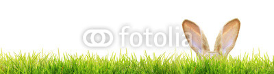 Frohe Ostern!
