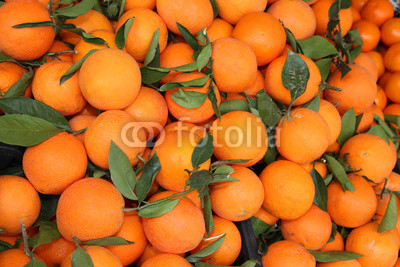 oranges with leaf after the harvest in the Mediterranean orchard
