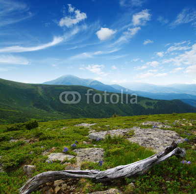 Mountain landscape in summer