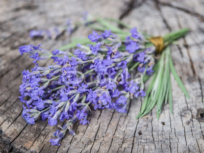 Bunch of lavandula or lavender flowers on the old wooden table.