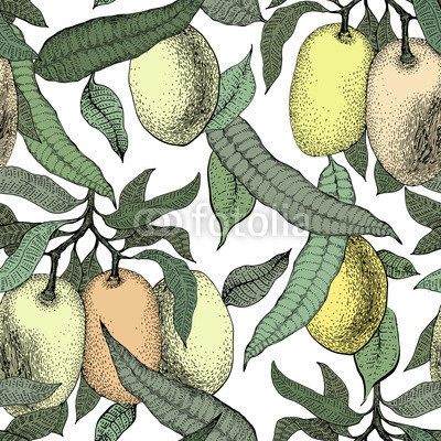 Mango tree vintage seamless pattern. Botanical mango fruit background. Engraved mango. Vector illustration