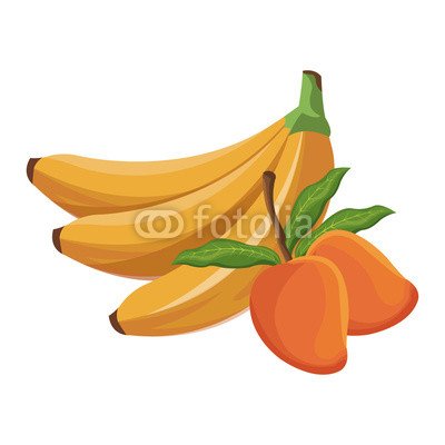 banana and mango fruit tropical food vector illustration eps 10