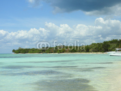 ile