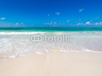 tropical sea