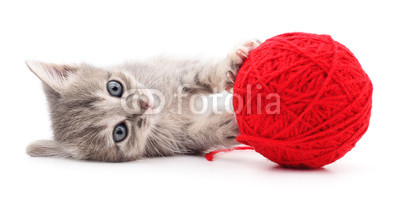 Kitten with ball of yarn.