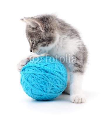 Cat with ball of yarn
