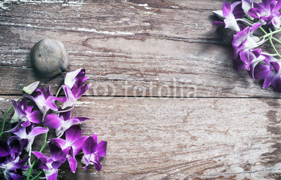 Orchid flower on wood