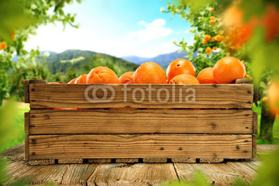 orange fruits 