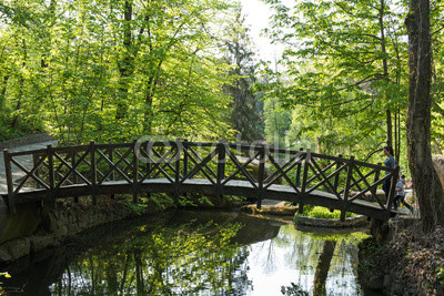 Old wooden bridge in the park